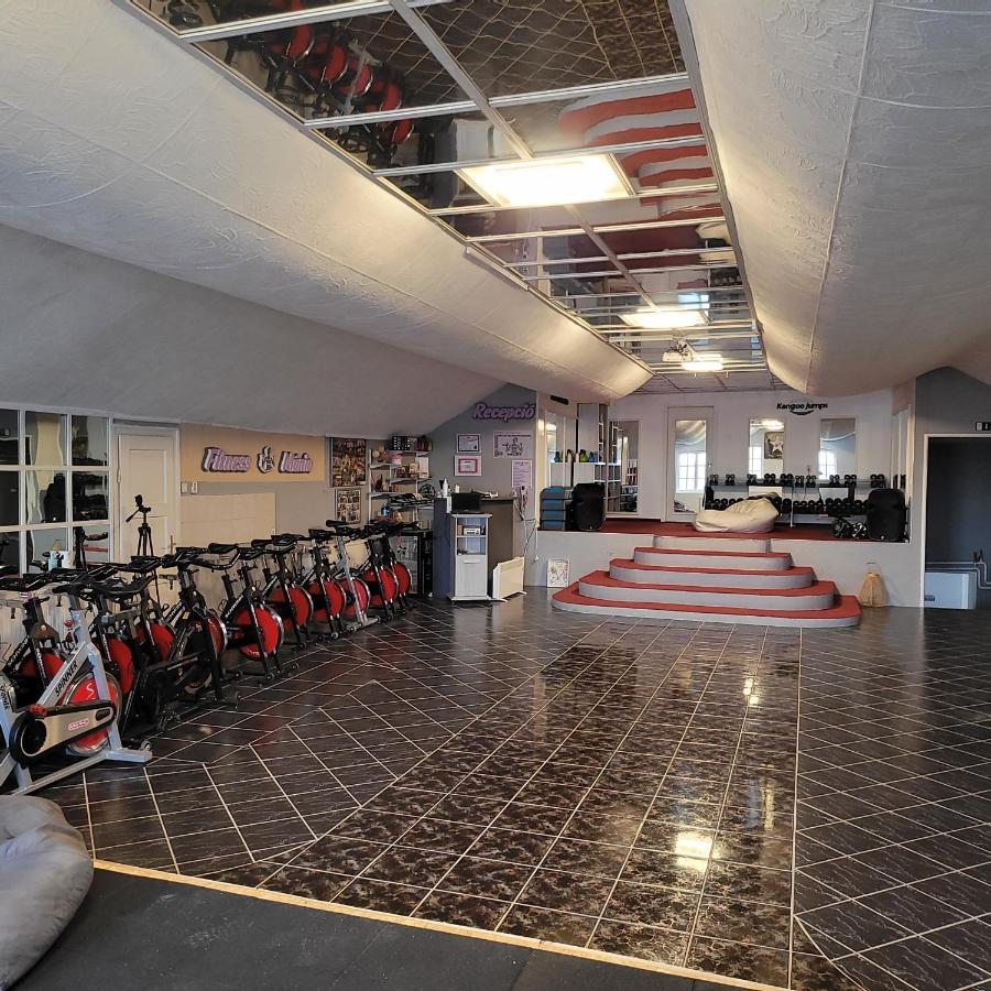 Komplex -Rendezvenytermek-Panzio-Apartman-Irodak- Mateszalka Exterior foto